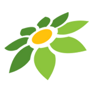 CARI MIOTOTO